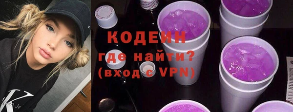хмурый Елизово