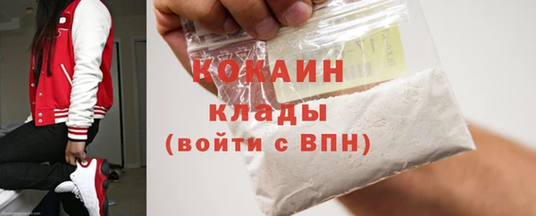 индика Протвино