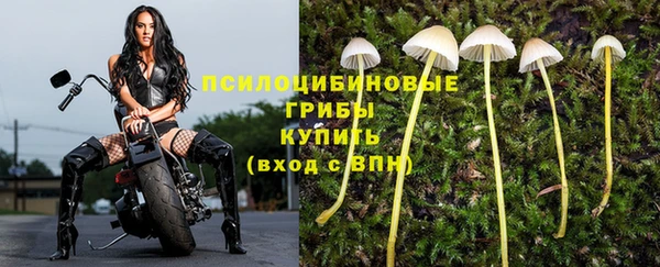 мескалин Ельня