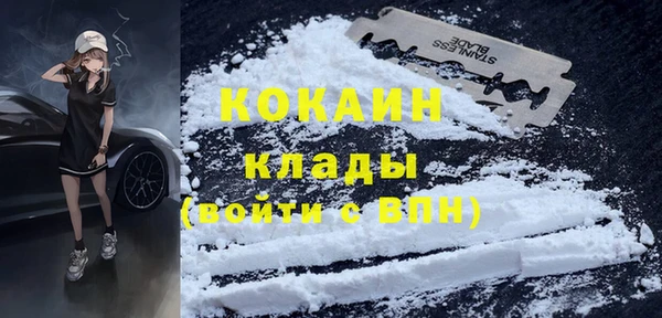 индика Протвино
