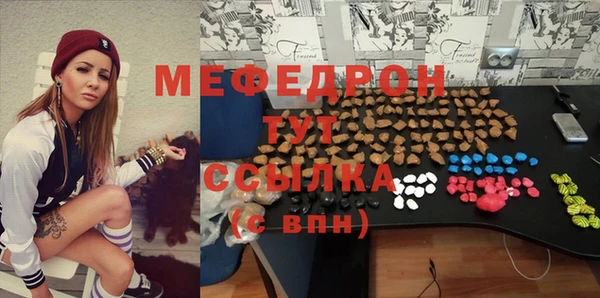 индика Протвино