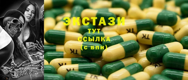 индика Протвино