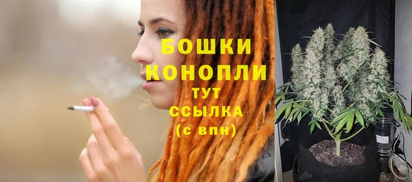 индика Протвино